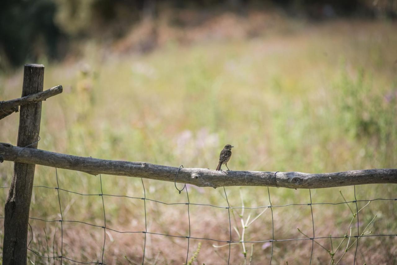 ホテル モナベール ベル カンパネット エクステリア 写真